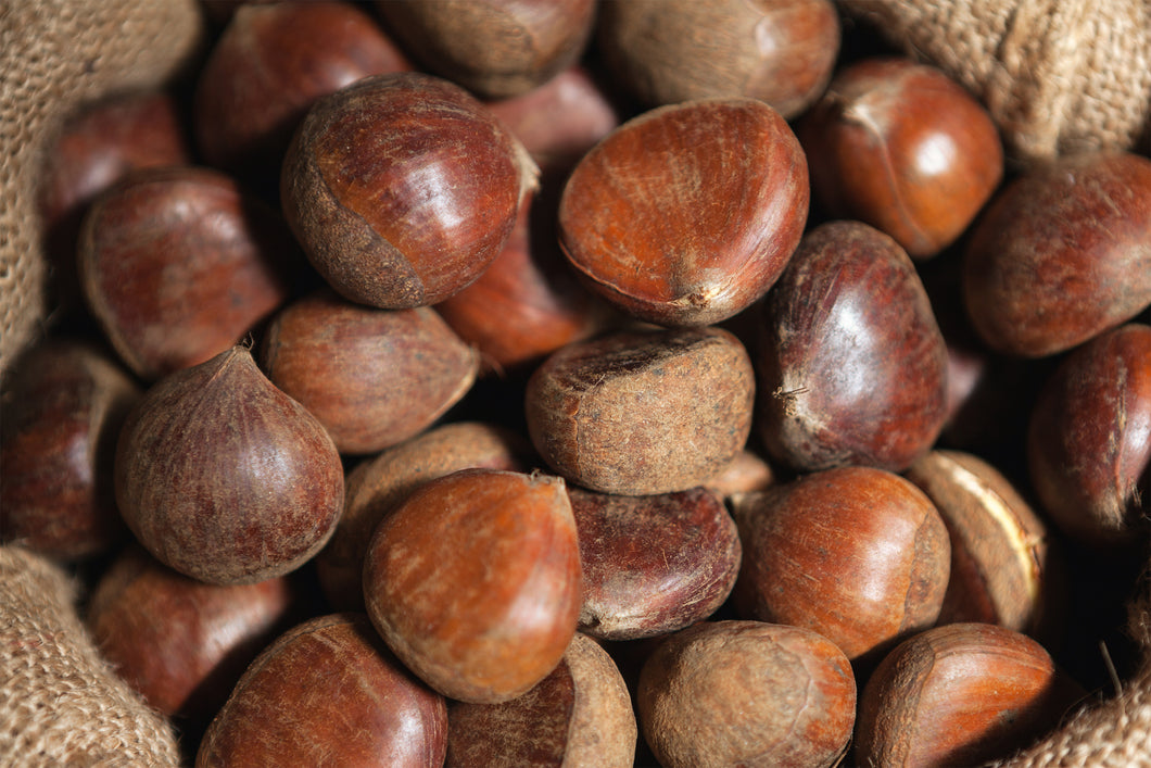 Fresh Chestnuts (Medium)